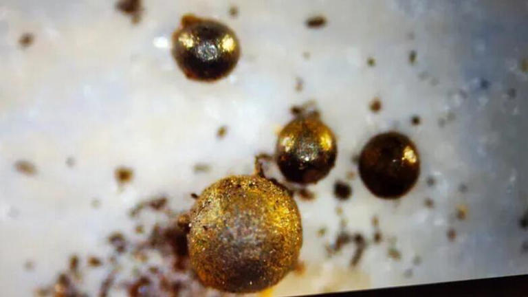 Un investigador israelí asegura haber encontrado pruebas de vida extraterrestre en el océano Pacífico