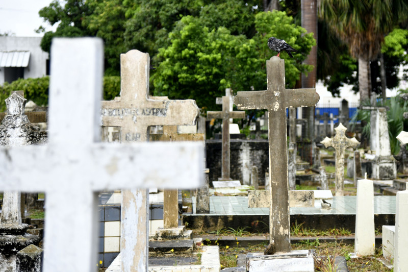 Necroturismo en Santo Domingo: Conoce la riqueza histórica a través de los cementerios