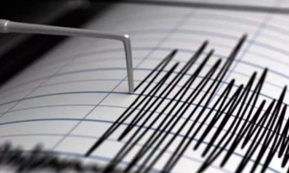 Terremoto de magnitud 6,6 sacude las aguas al norte de Nueva Zelanda