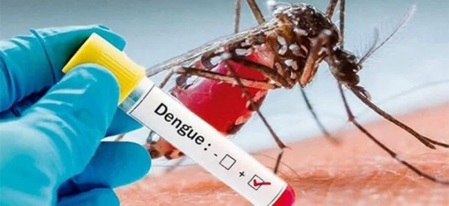 Persiste la afluencia de pacientes con sospecha de dengue en los centros de salud
